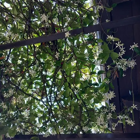 Heraklia's House Hébergement de vacances Perama (Corfu)