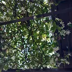 Heraklia's House 別荘 ペラマ